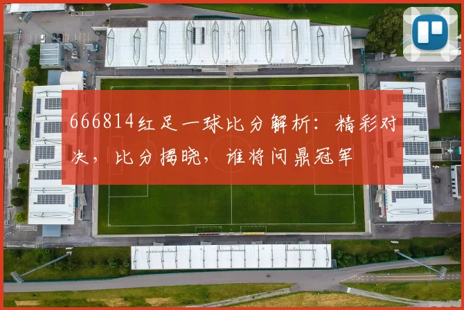 666814红足一球比分解析：精彩对决，比分揭晓，谁将问鼎冠军