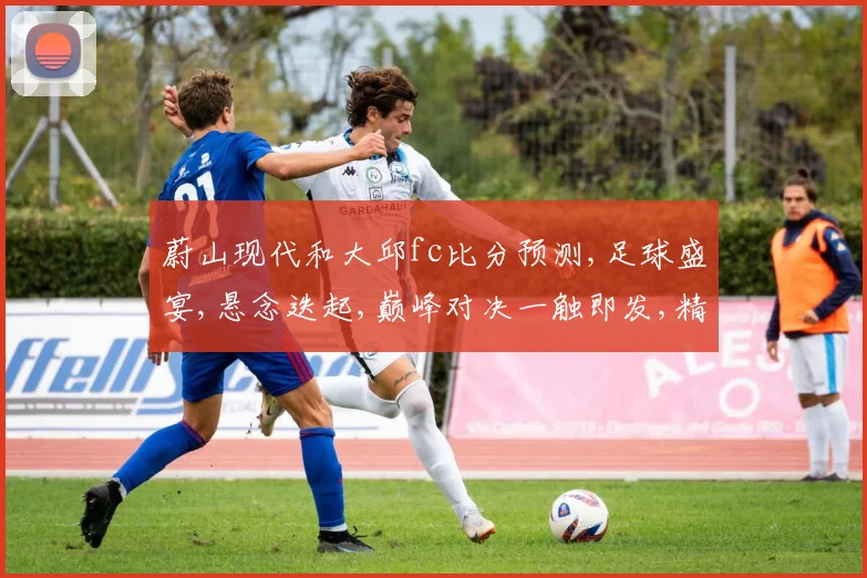 蔚山现代和大邱fc比分预测,足球盛宴,悬念迭起,巅峰对决一触即发,精彩不容错过,敬请期待