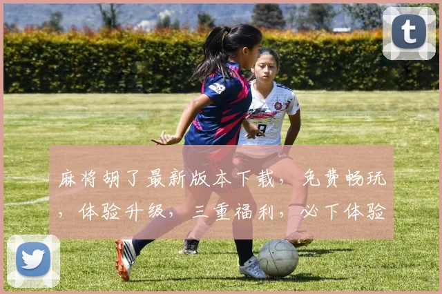 麻将胡了最新版本下载，免费畅玩，体验升级，三重福利，必下体验